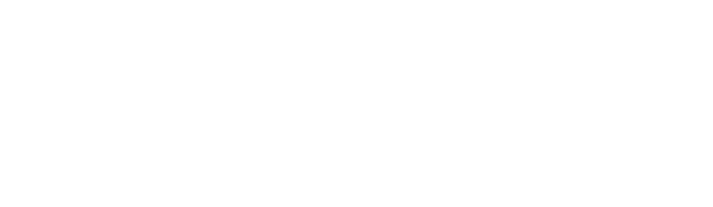 Kostoff